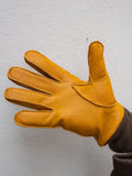 GLOVES GOAT NAPPA   3