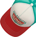 TRUCKER CAP STETSON   2